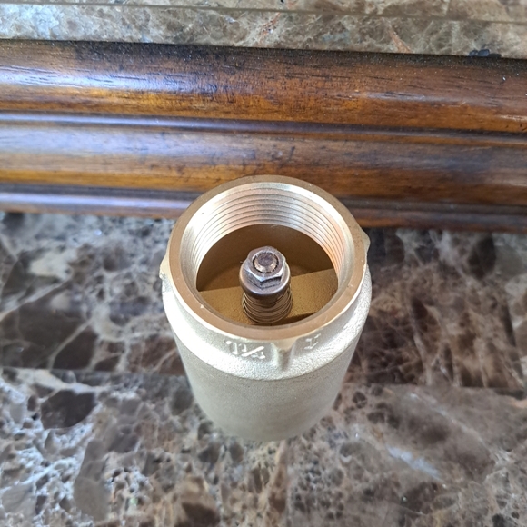 Everflow Lead Free Threaded Spring Loaded Check Valve Brass 1 1/4" 150T034-NL - Picture 3 of 3